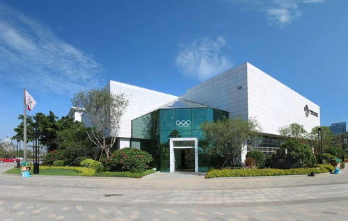 廈門城市職業(yè)學院商貿(mào)系學生黨支部走進廈門奧林匹克博物館開展主題教育活動