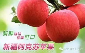 微送水果工廠店12家門店同慶盛典 每日供應(yīng)依舊秒光，水果為何至此搶購大戰(zhàn)？